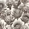 Protea