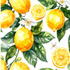 Lemons
