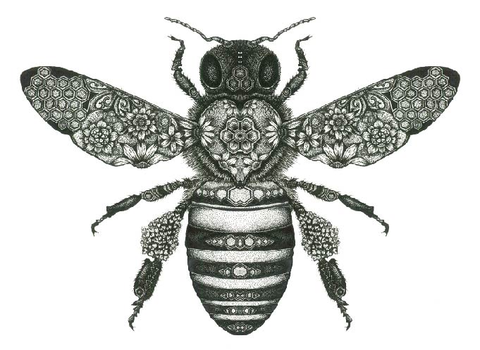 Honey Bee beeswax wrap print by Sunny SolWind