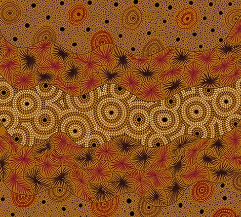 Wild Seed & Waterhole beeswax wrap print by Tanya Price Nangala
