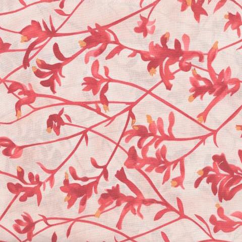 Kangaroo Paw beeswax wrap print by Natalie Ryan