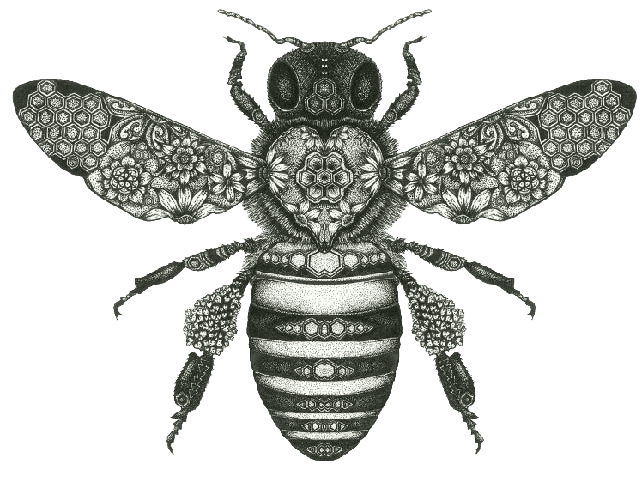 Beeswax Wraps Australia bee emblem