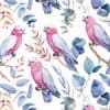 Native Galah